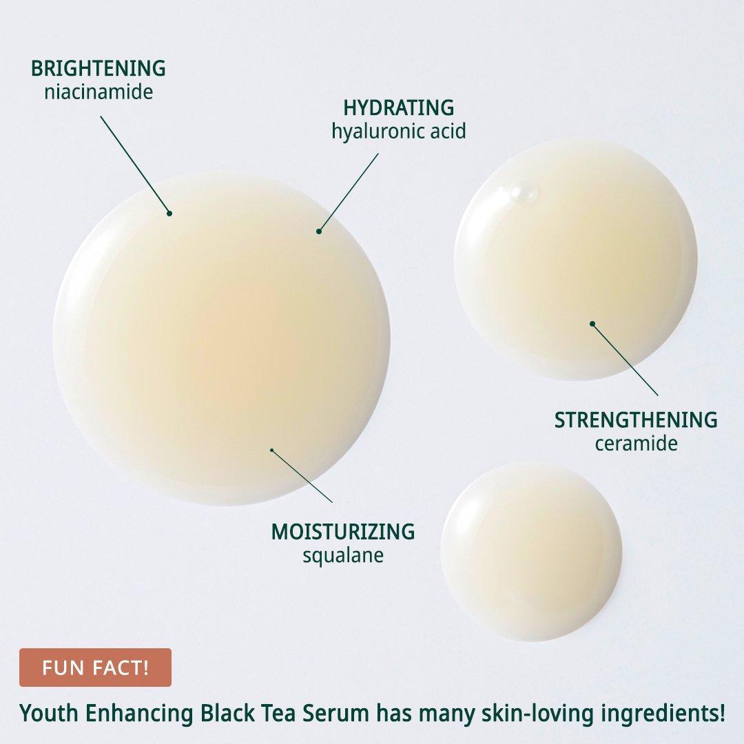 [Innisfree] Youth Enhancing Ampoule - with Black Tea 30ml